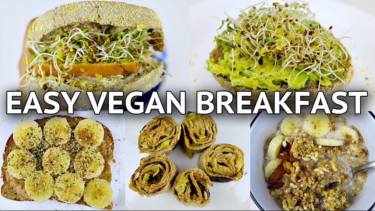 Vegan Breakfast Ideas Quick
 5 EASY VEGAN BREAKFAST IDEAS QUICK HEALTHY