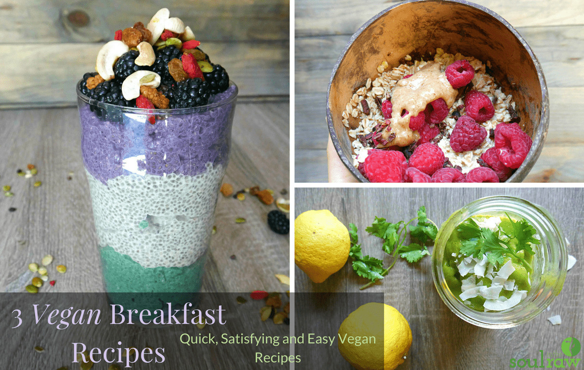 Vegan Breakfast On The Go
 3 Vegan Breakfasts ON THE GO Filling Easy and Quick