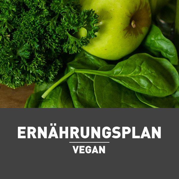 Vegan Plan Deutsch
 Individueller veganer Ernährungsplan DreamteamFitness