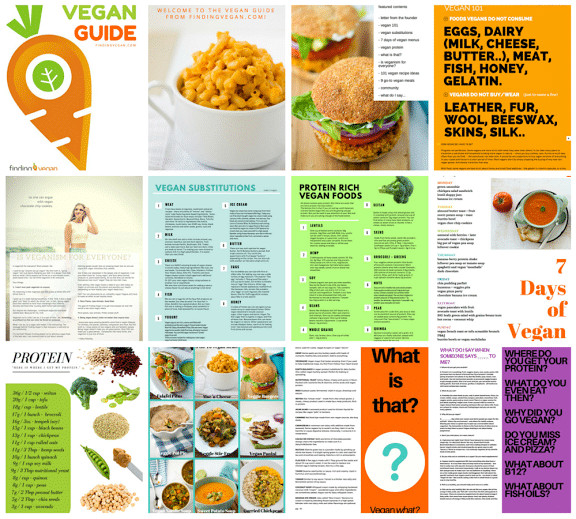 Vegan Plan For Beginners
 Dr Oz Vegan Guide for Beginners Shopping List of Foods