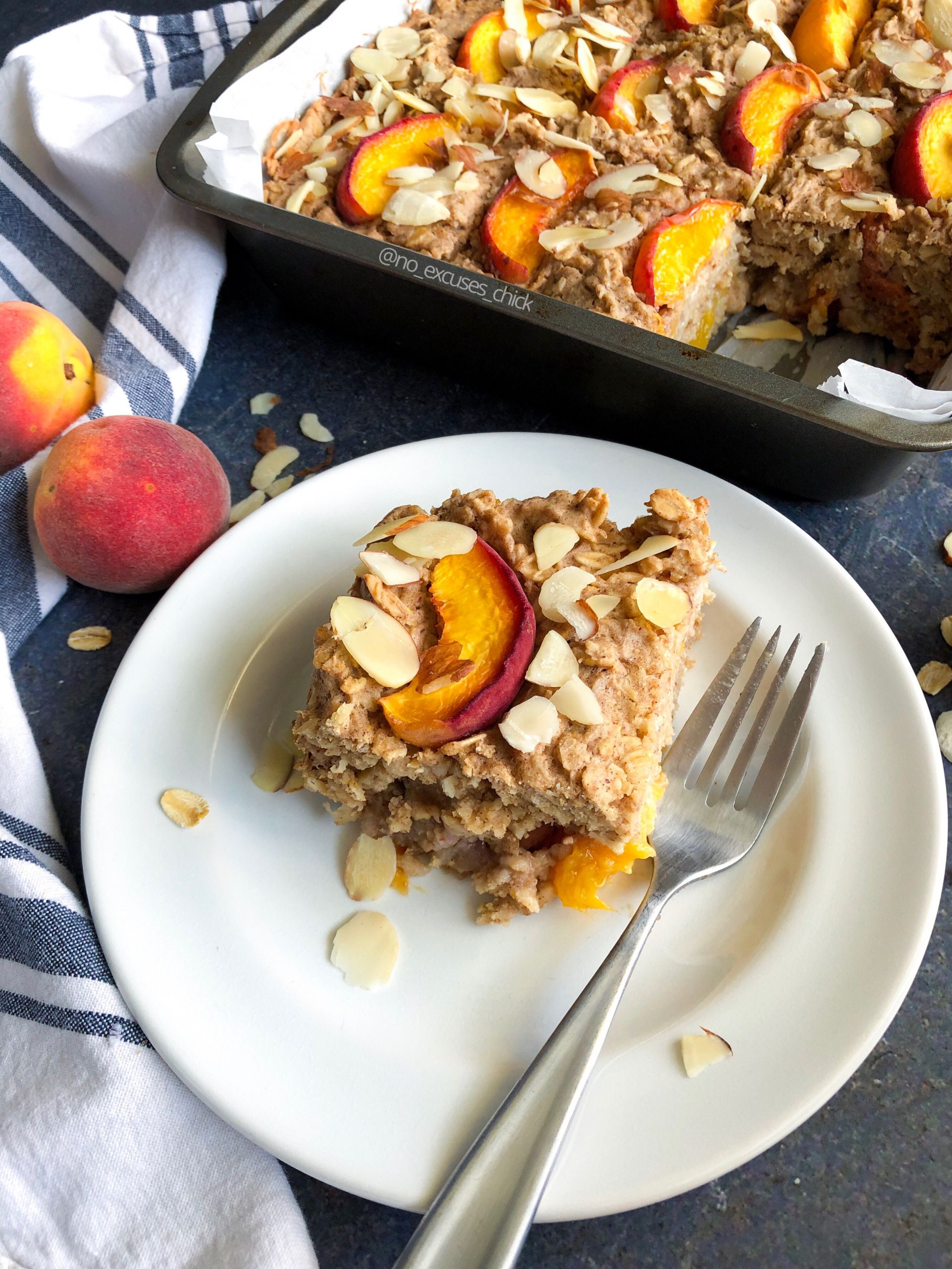 Vegan Protein Baked Oatmeal
 PEACH BAKED PROTEIN OATMEAL VEGAN – No Excuses Nutrition