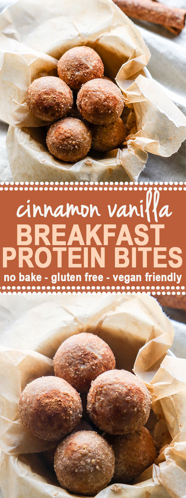 Vegan Protein Bites
 Cinnamon Vanilla No Bake Protein Bites Vegan Friendly