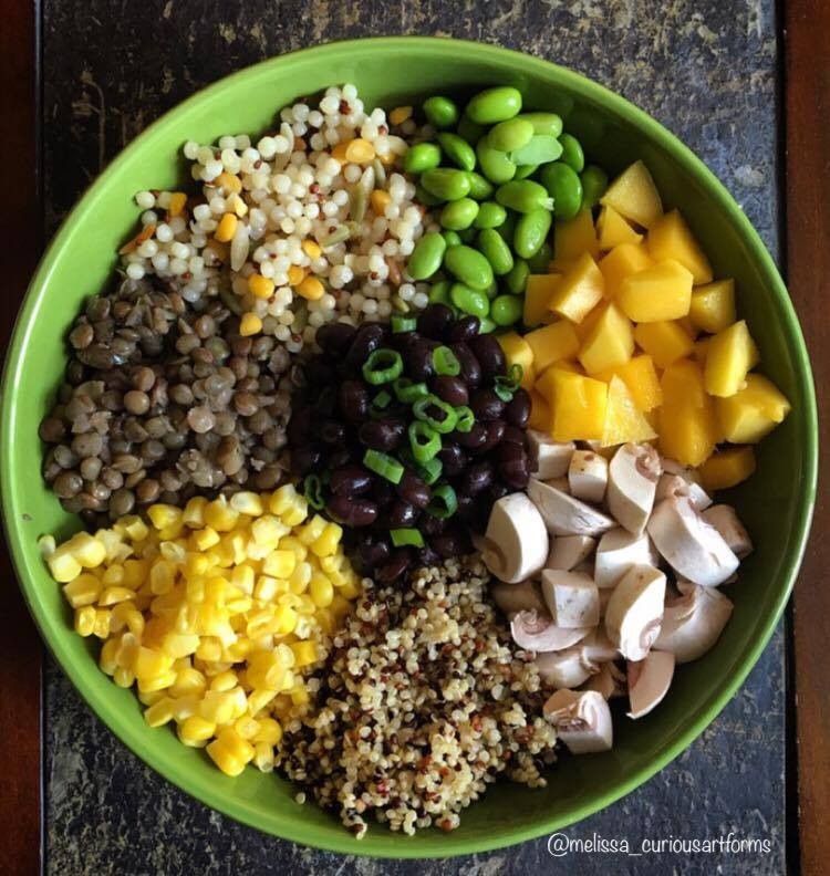 Vegan Protein Bowls
 What s Cooking With Melissa Vegan Protein Bowl