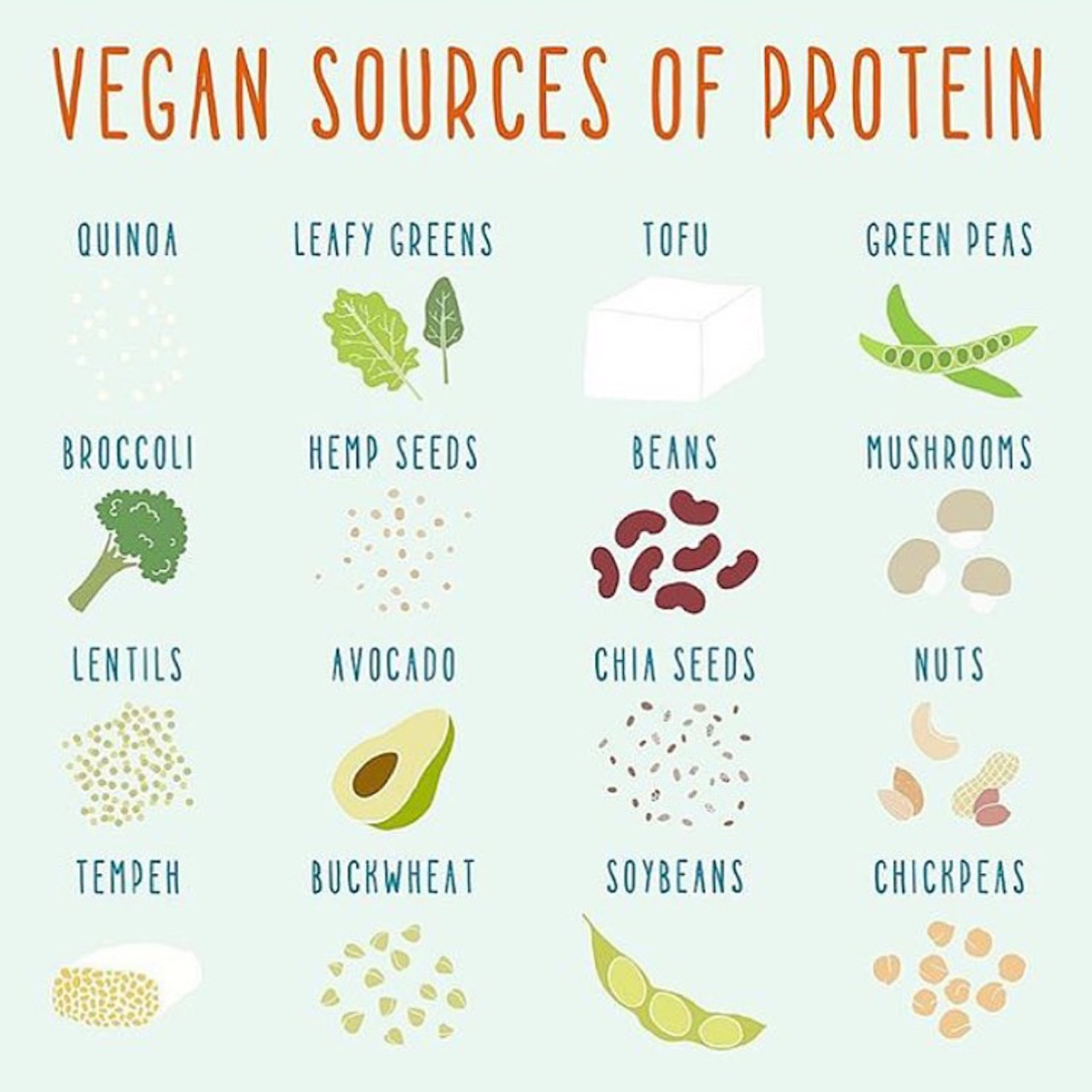 Vegan Protein Foods
 Protein on a low FODMAP Vegan Diet