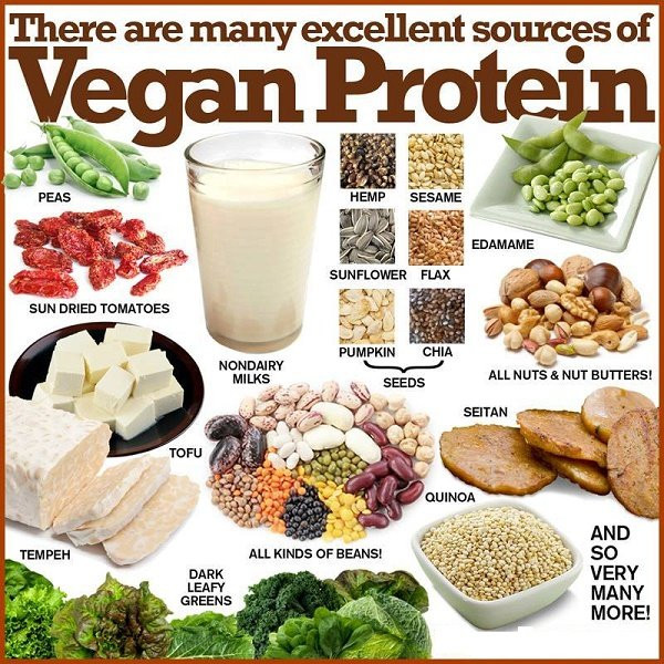 Vegan Protein
 Vegan Protein Foods You Should Be Eating More ten Fitneass