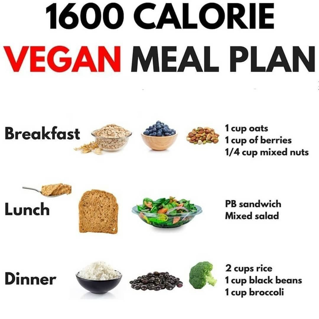Vegan Protein Meal Plan
 Yesterday I posted an example meal plan for 1200 calories