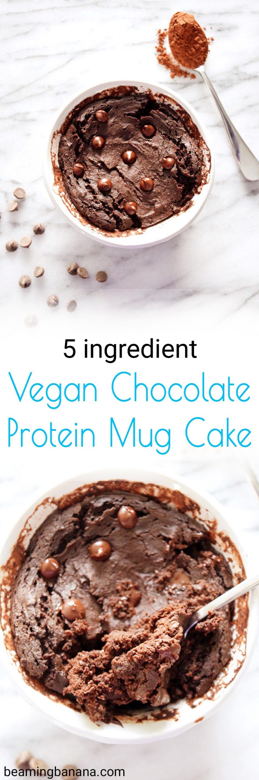 Vegan Protein Mug Cake
 Vegan Chocolate Protein Mug Cake Beaming Banana