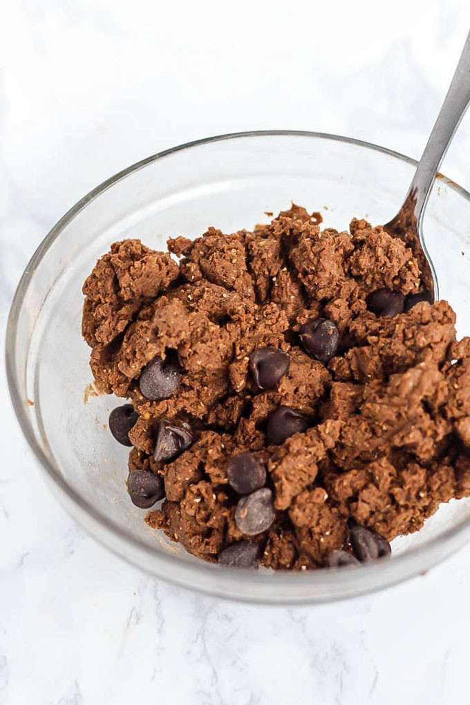 Vegan Protein Powder Cookies
 Huge Chocolate Protein Cookie for e vegan & gluten free