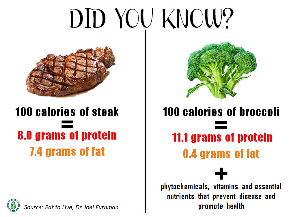 Vegan Protein Vs Animal Protein
 Animal vs Plant Protein – How Do They Stack Up