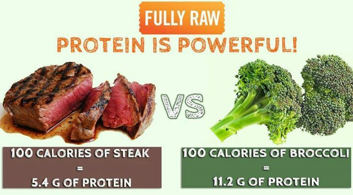 Vegan Protein Vs Animal Protein
 Animal vs Plant Protein