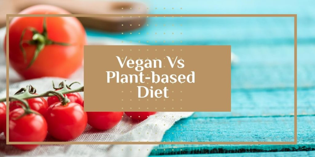 Vegan Vs Plant Based Diet
 Vegan Vs Plant based Diet The Differences and Full