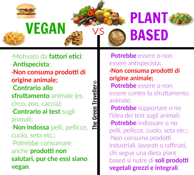 Vegan Vs Plant Based Diet
 Osteria Verde