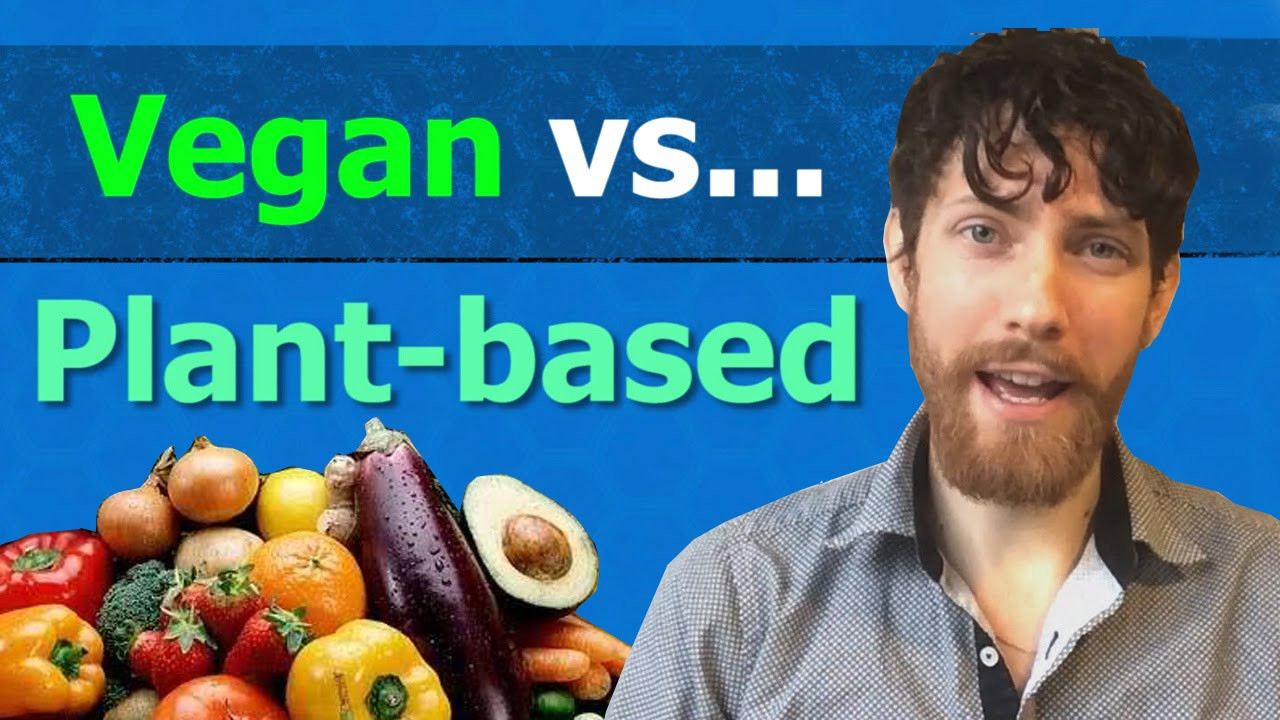 Vegan Vs Plant Based Diet
 Vegan vs Plant based