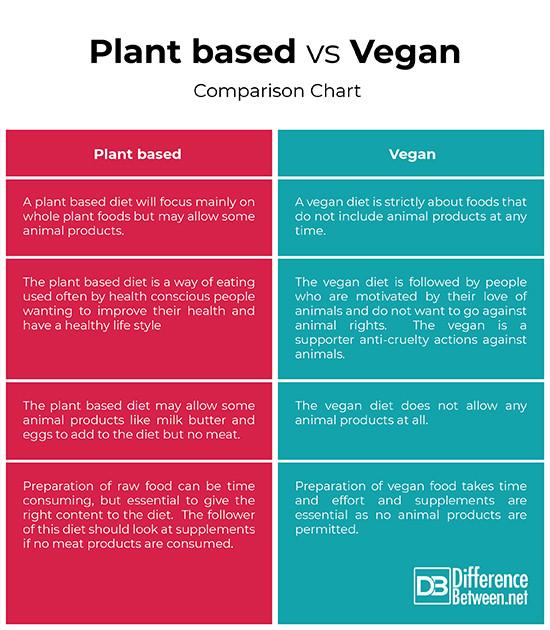 Vegan Vs Plant Based Diet
 Difference Between Plant based and Vegan