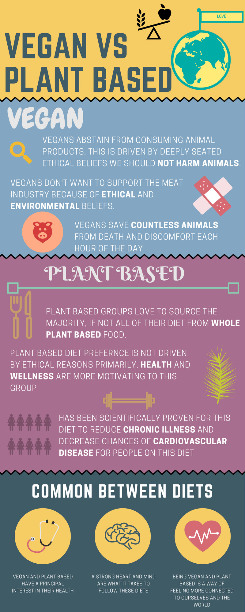 Vegan Vs Plant Based Diet
 The Ultimate Guide For Vegan Beginners