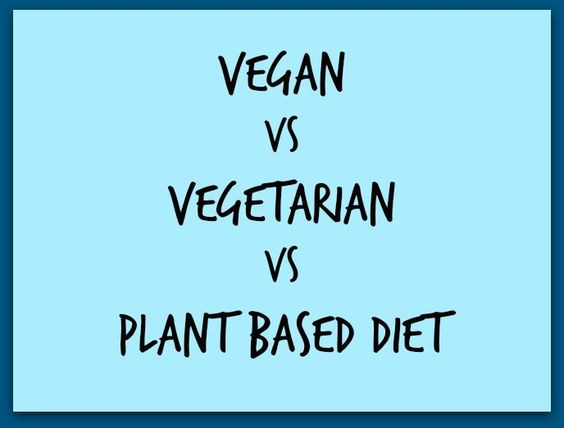 Vegan Vs Plant Based Diet
 vegan vs ve arian vs plant based t