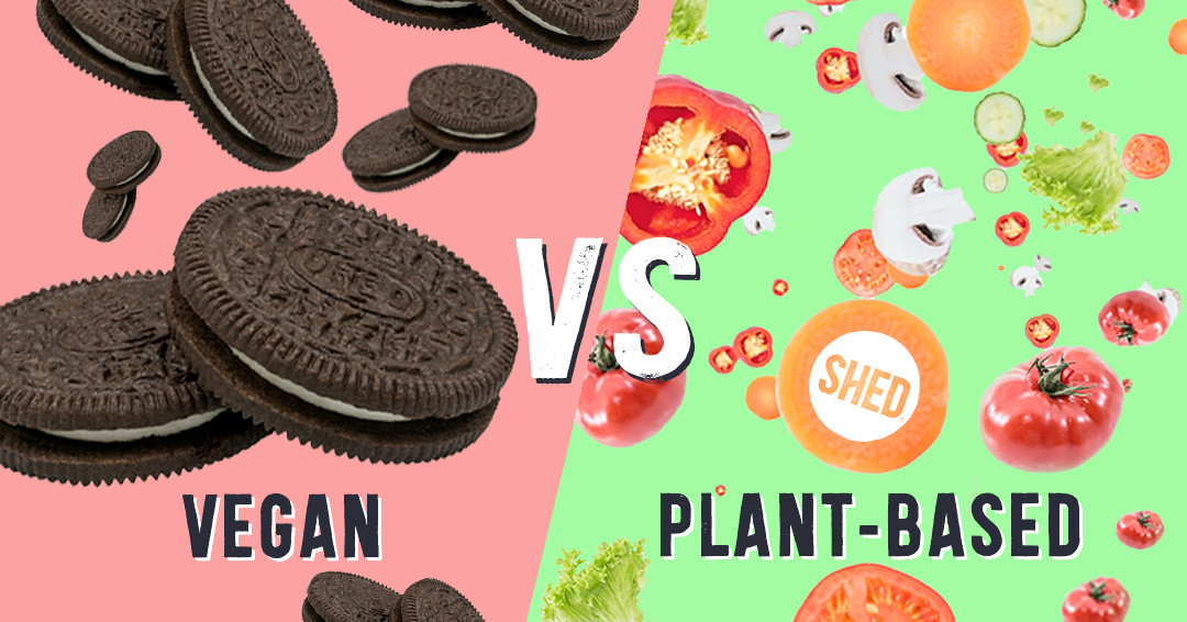 Vegan Vs Plant Based Diet
 Plant Based Diet Vs Vegan Diet