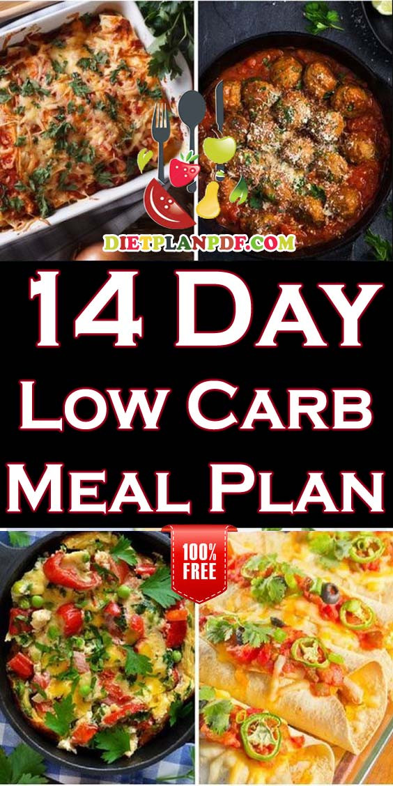 Weekly Weight Loss Meal Plan
 Free 14 Day 2 Week Low Carb Diet Weight Loss Meal Plan