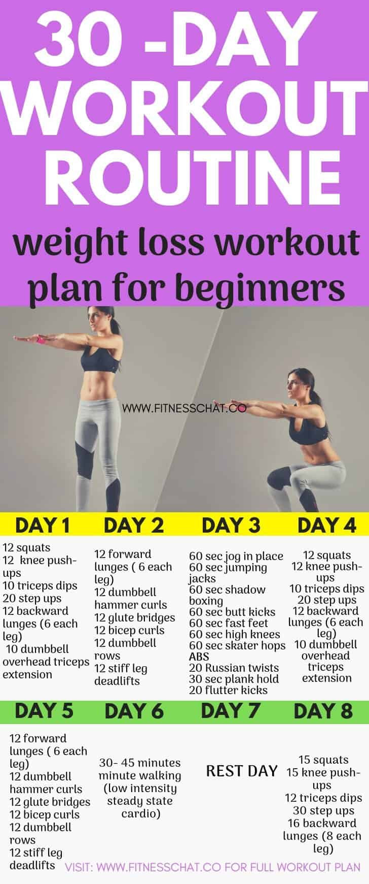 Weight Loss Exercise Plan Beginner
 weight loss workout plan for beginners The only 30 Day