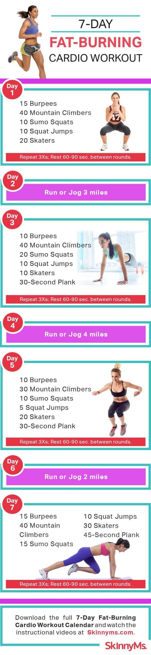Weight Loss Exercises At Home Fat Burning Cardio Workouts
 Pin on Skinny Ms Fitness