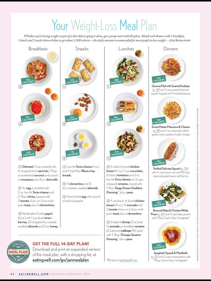 Weight Loss Meal Plan
 12 Trending Clean Eating Diet Plans to Lose Weight Fast