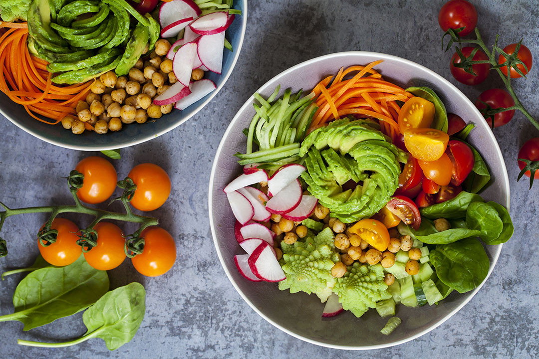 What Can You Eat On A Plant Based Diet
 ALL ABOUT PLANT BASED DIET