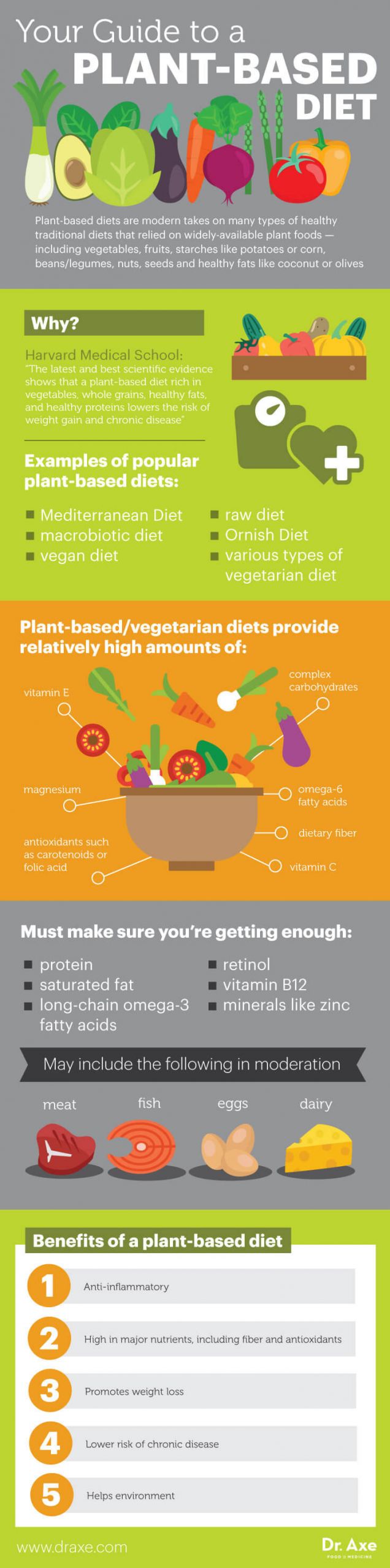 Why Plant Based Diet
 The How And Why A Plant Based Diet Infographic