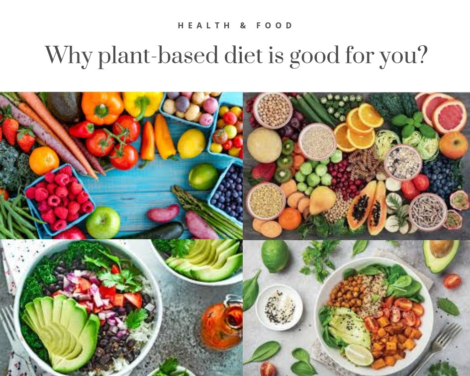 15 Our Most Shared Why Plant Based Diet Best Product Reviews